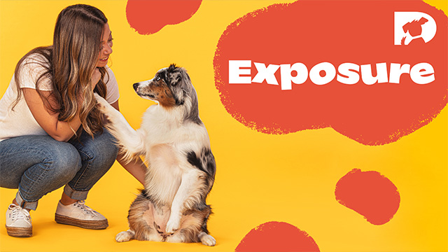 Exposure therapy hot sale for dogs